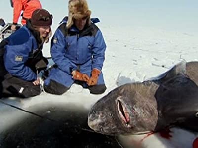 Greenland Shark Quest